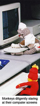 sock monkeys typing code